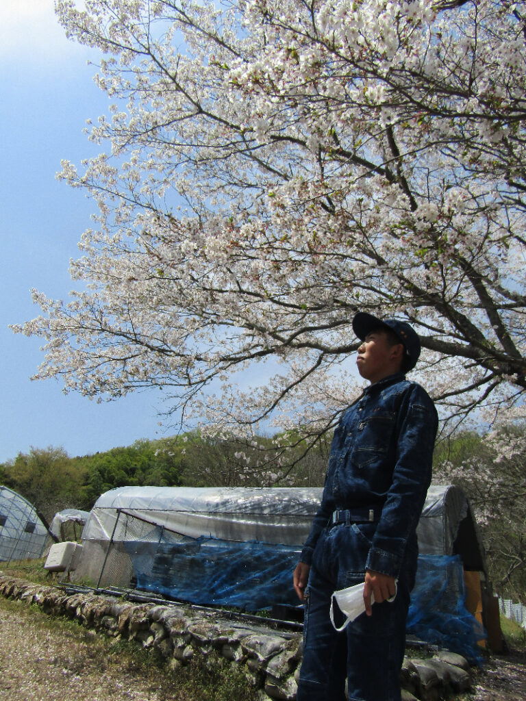 【地域生活科】精研農場地域ふれあい市のお知らせ