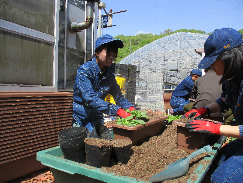 【地域生活科】第74回全国植樹祭２０２４岡山装飾準備