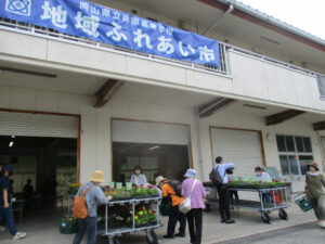 【グリーンライフコース】精研農場花壇苗予約6月のお知らせ