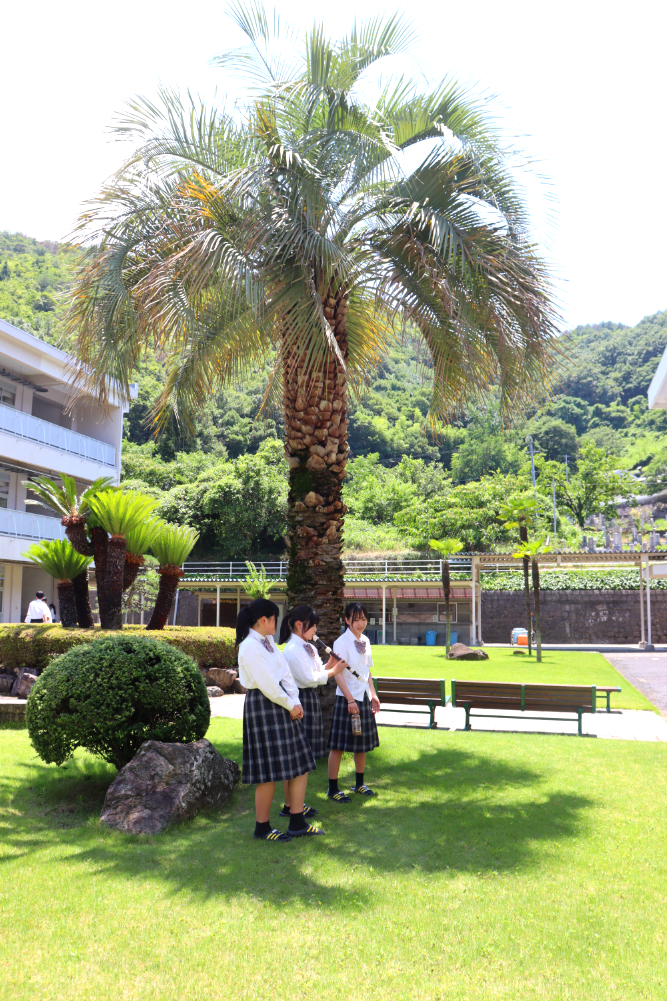 【校内風景】♫それはとても晴れた日で・・・　
