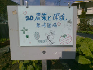 普通科２年生　総合進学類型　「農業と環境」　秋・冬野菜のシーズンです！