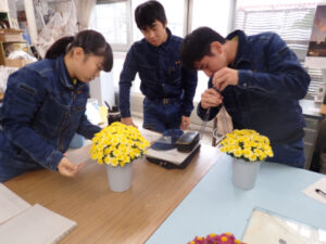 【グリーンライフコース】鉢花分野の活動紹介１１