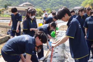 【地域生活科３年生】「綿いっぱい運動」の綿花播種を行いました！