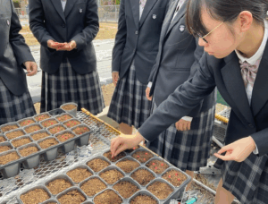 【生物活用】トウモロコシの播種