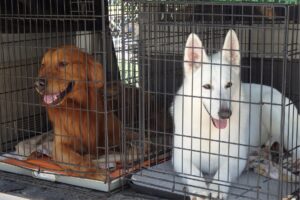 【警察犬講習会】農業科目「生物活用」